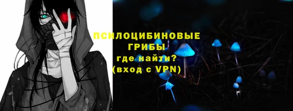 шишки Абаза