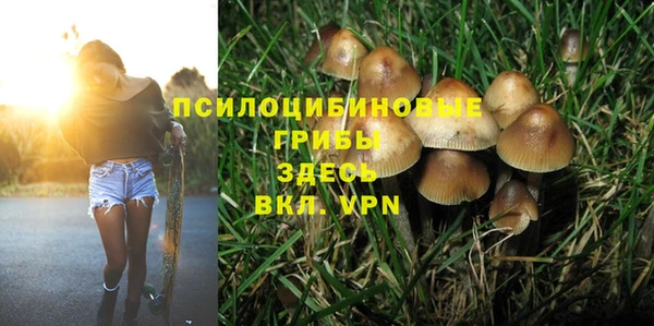 крисы Абдулино