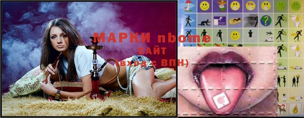 шишки Абаза