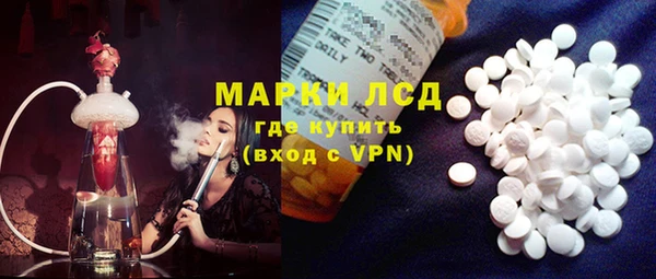 шишки Абаза