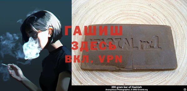 шишки Абаза