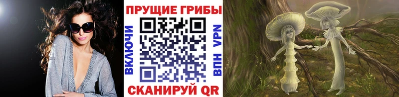 KRAKEN как войти  Карпинск  Галлюциногенные грибы MAGIC MUSHROOMS  как найти наркотики 